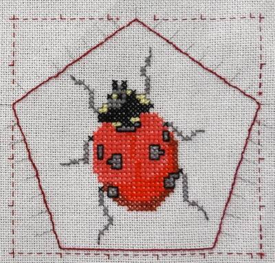 03-lieveheersbeest-klein 03-lieveheersbeest-klein