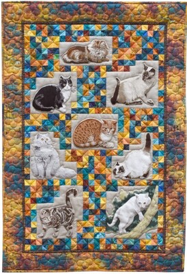 katten-1500px-middel 2